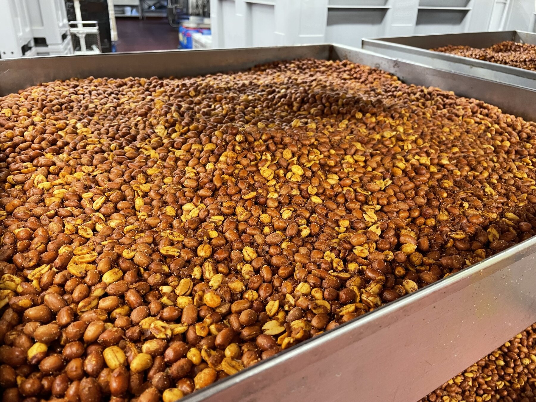 Roasted peanuts in a production tray at Yummy Yum