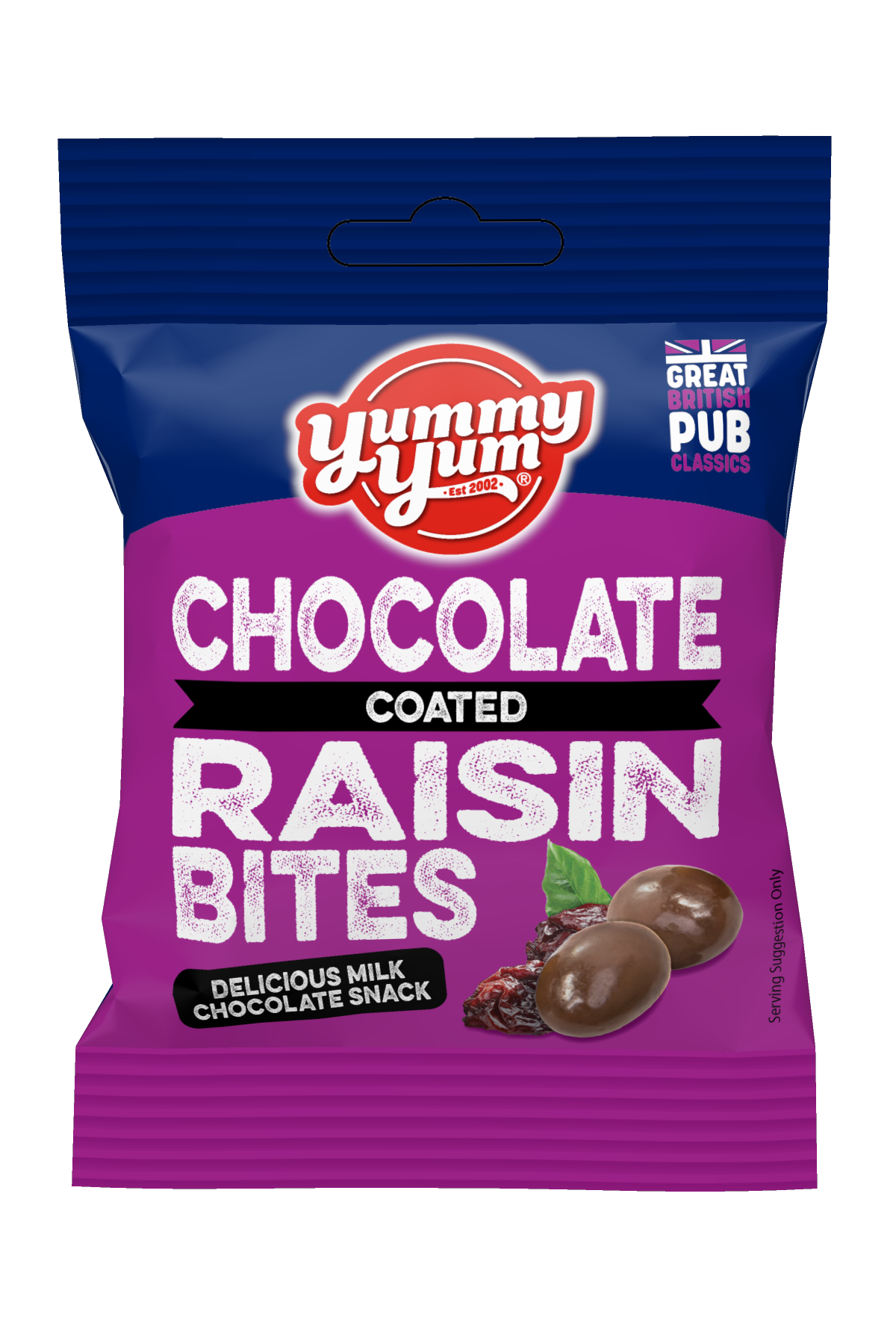 Chocolate Raisin Bites